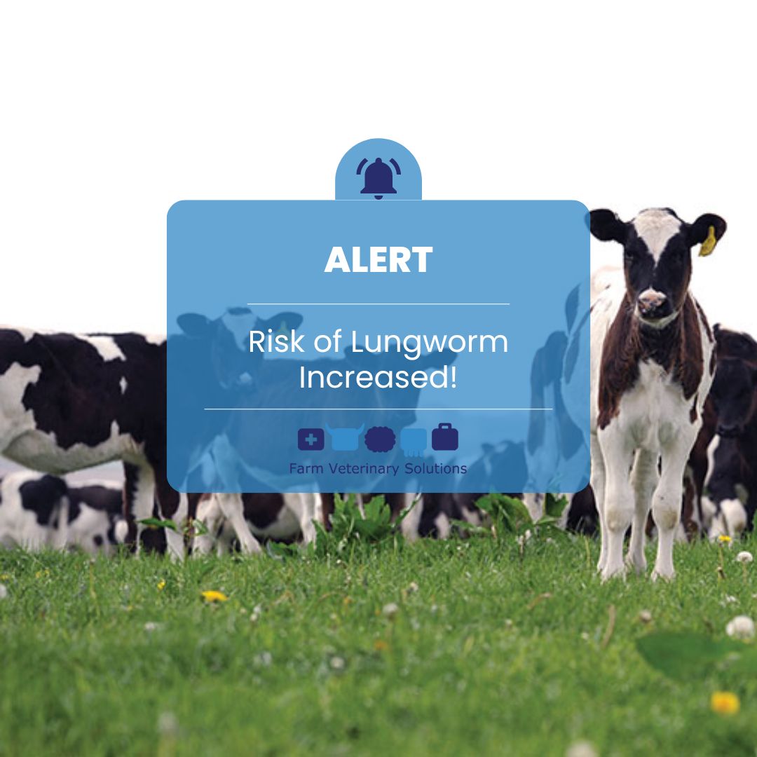 Lungworm Risk Alert Farm Vet Solutions